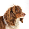 Brad Baumgart (rocklaw) > Lucky photo