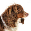 Brad Baumgart (rocklaw) > Lucky photo